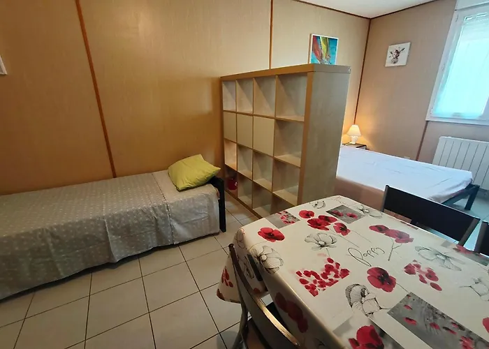 Grand A Pres De Vieux Port Apartamento *